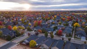 neighborhood landscape