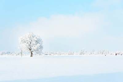 a snowy day