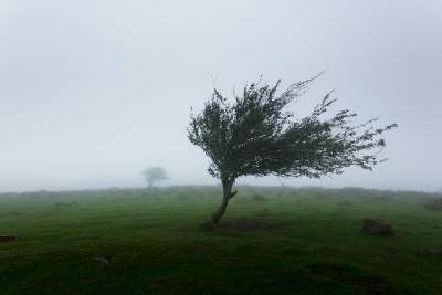 a windy day